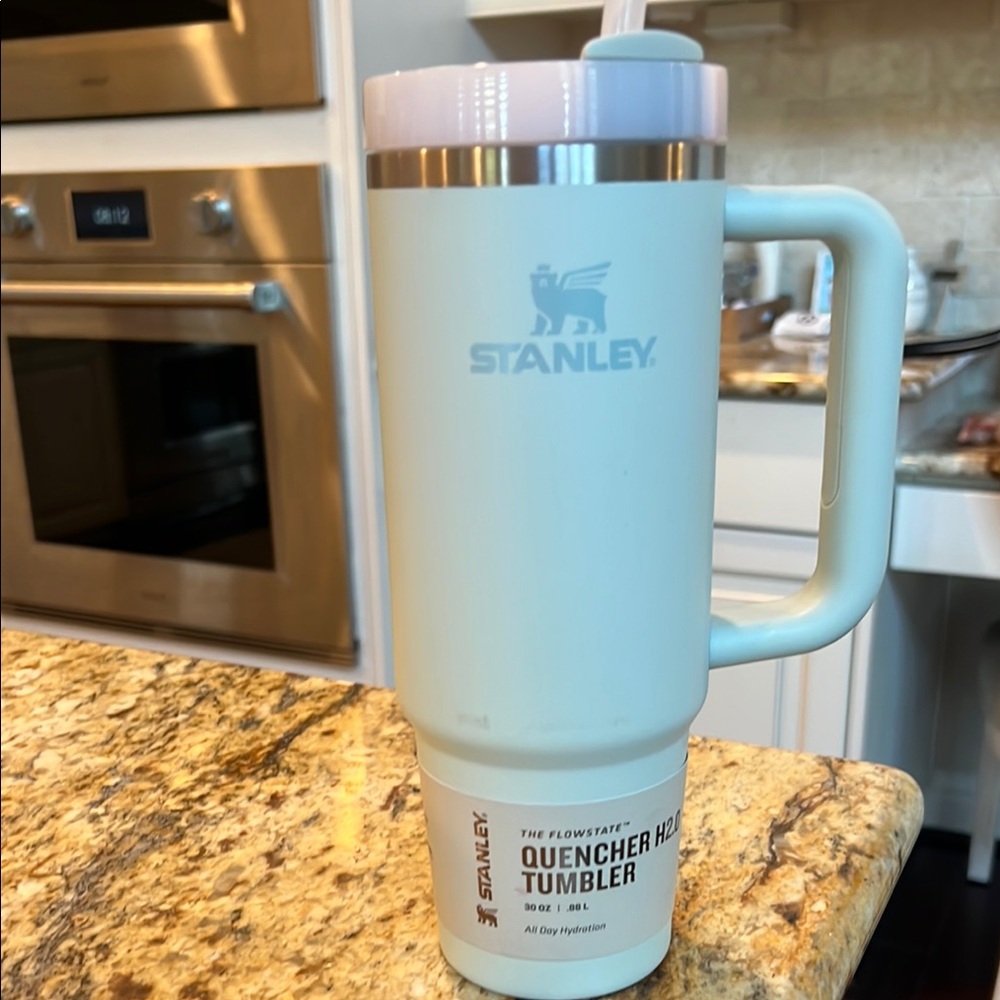 Stanley Quencher H2.0 Tumbler - green light teal